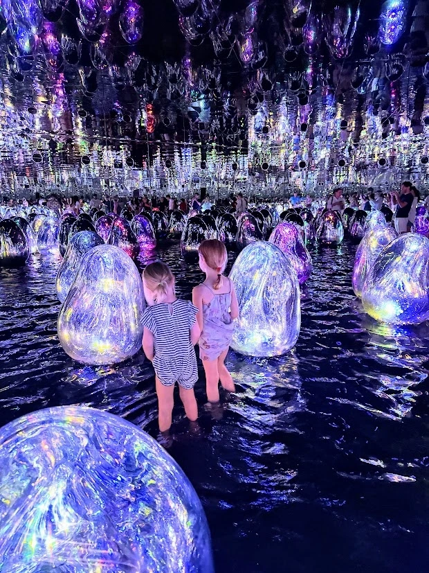 teamLab Phenomena Abu Dhabi for immersive digital art